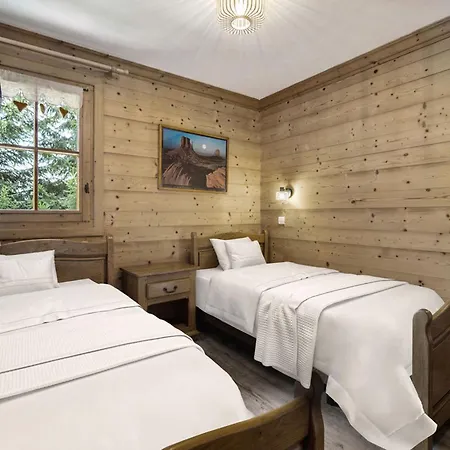 Chalet Indépendant Avec Sauna Et Parking à 1650 - 8 Pers - Fr-1-563-162